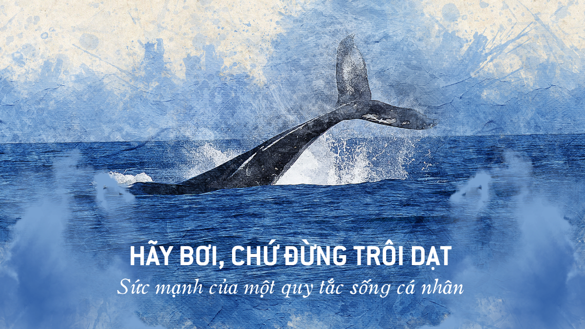 Hãy bơi, chứ đừng trôi dạt: Sức mạnh của một quy tắc sống cá nhân